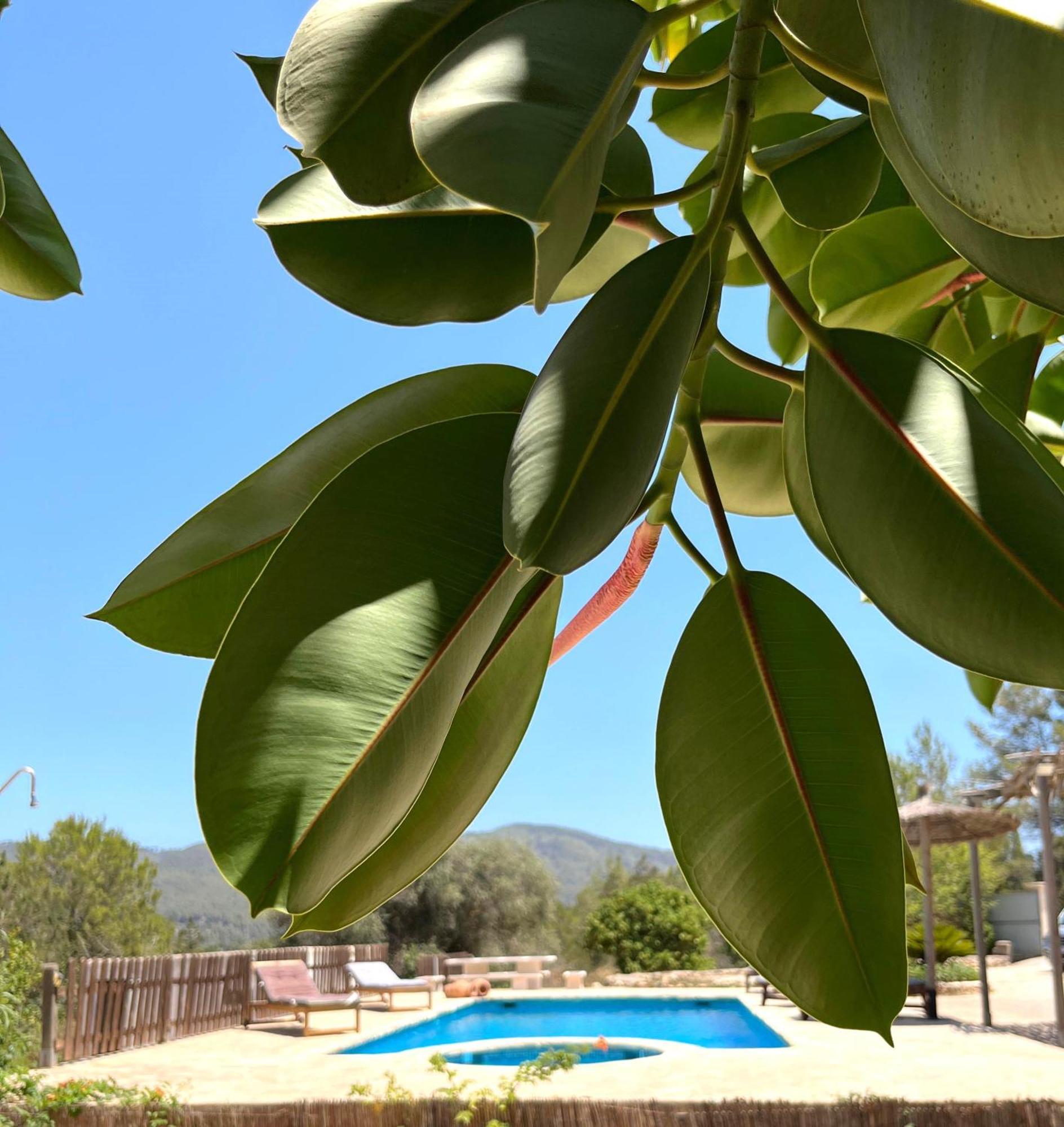 Villa Can Mestreso Suite Ibiza Sant Joan De Labritja Ngoại thất bức ảnh